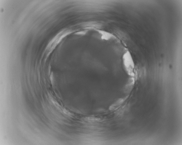 X0000052650339200507221847