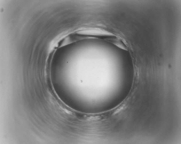 X0000052650340200507221847