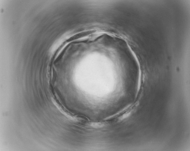 X0000052650341200507221847