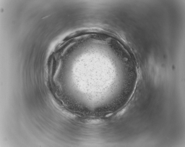 X0000052650342200507221847