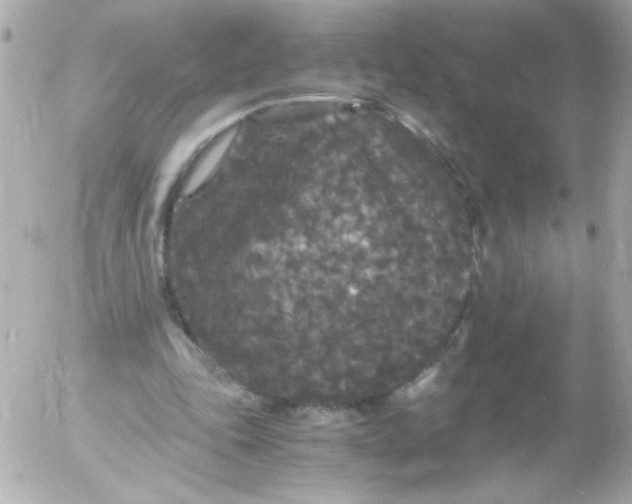 X0000052650343200507221847