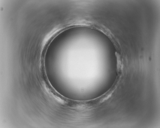 X0000052650344200507221847