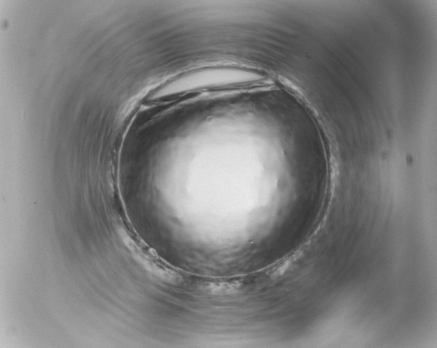 X0000052650345200507221847