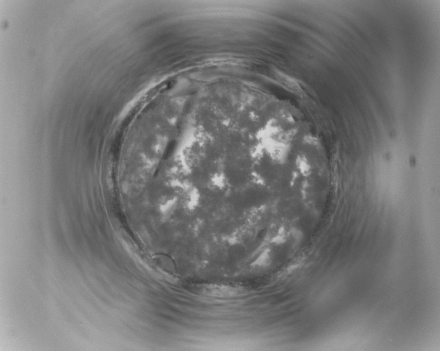 X0000052650347200507221847