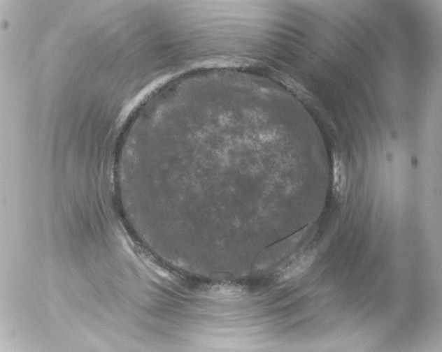 X0000052650348200507221847