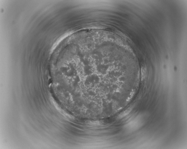 X0000052650349200507221847