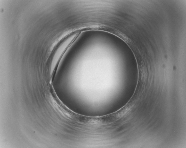 X0000052650350200507221847