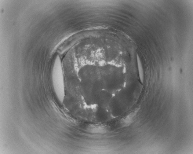 X0000052650351200507221847