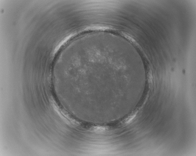 X0000052650352200507221847