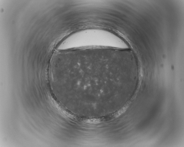 X0000052650353200507221847