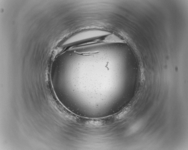 X0000052650354200507221847