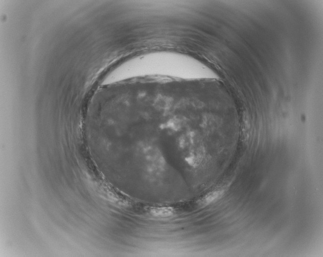 X0000052650355200507221847