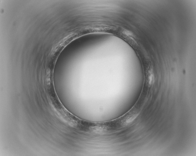 X0000052650356200507221847