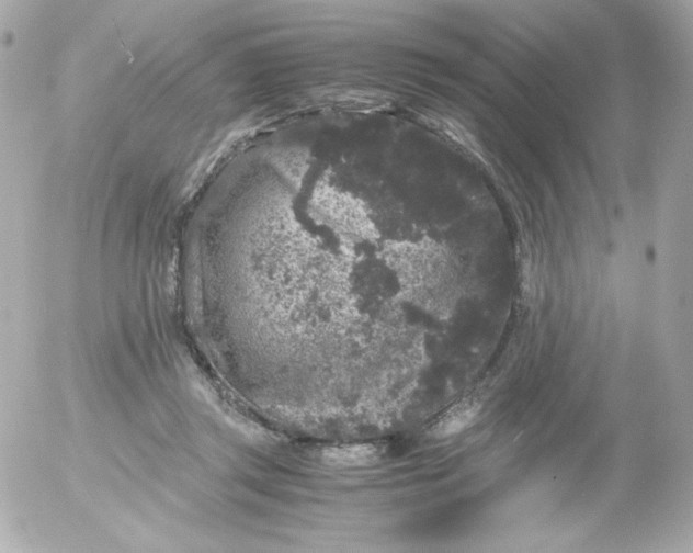 X0000052650357200507221847