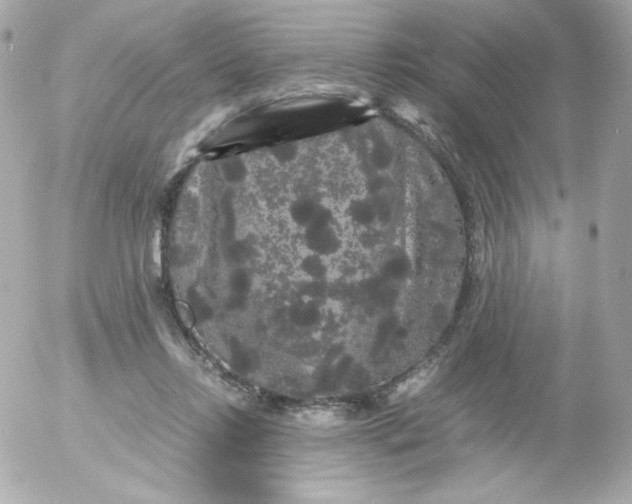 X0000052650358200507221847