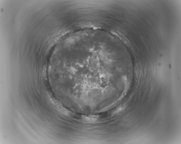 X0000052650359200507221847