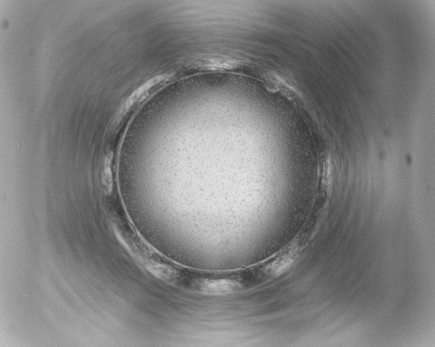 X0000052650360200507221847