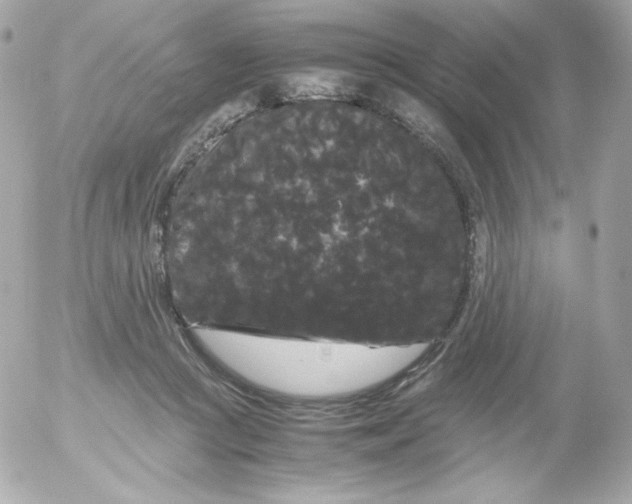 X0000052650361200507221847