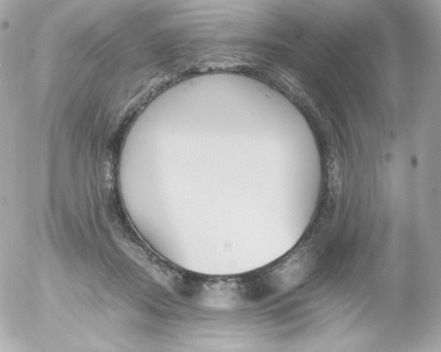 X0000052650362200507221847