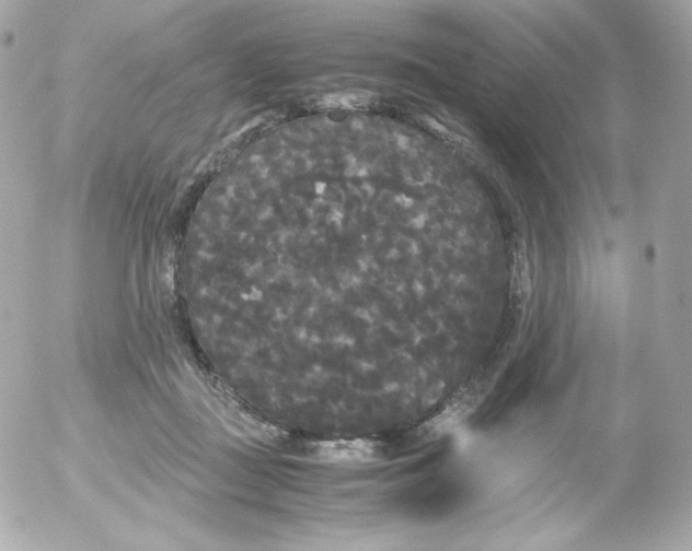 X0000052650363200507221847