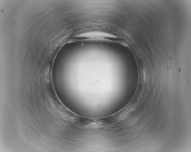 X0000052650364200507221847