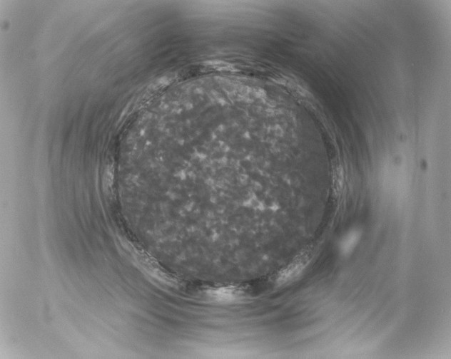 X0000052650365200507221847