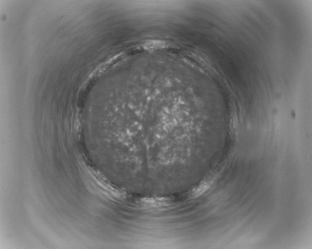 X0000052650367200507221847