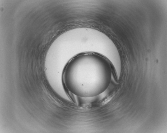 X0000052650368200507221847