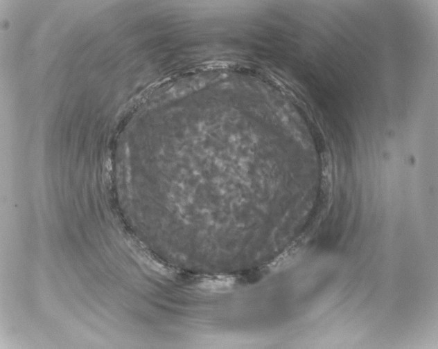 X0000052650369200507221847