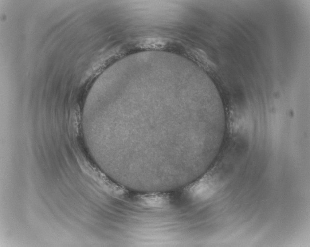 X0000052650370200507221847