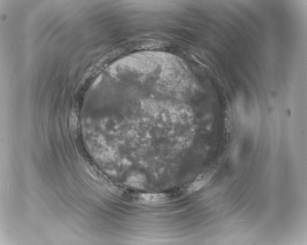 X0000052650371200507221847