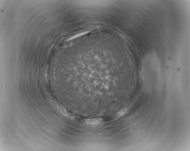 X0000052650373200507221847