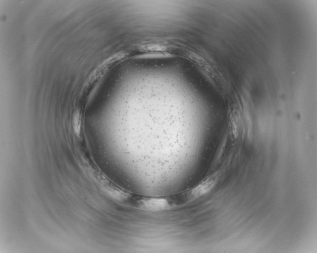 X0000052650374200507221847