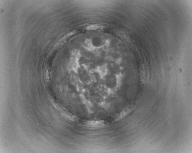 X0000052650375200507221847