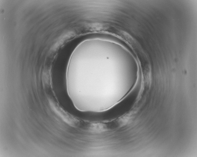 X0000052650376200507221847