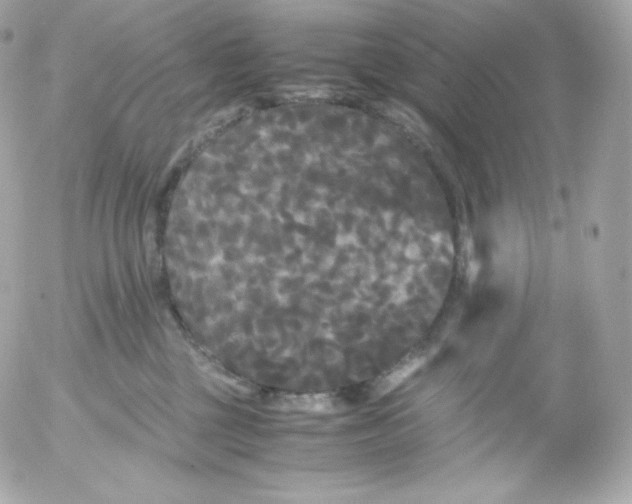 X0000052650377200507221848