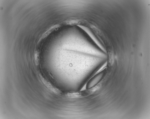 X0000052650378200507221848