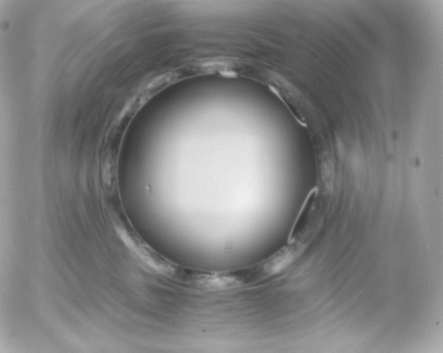 X0000052650379200507221848