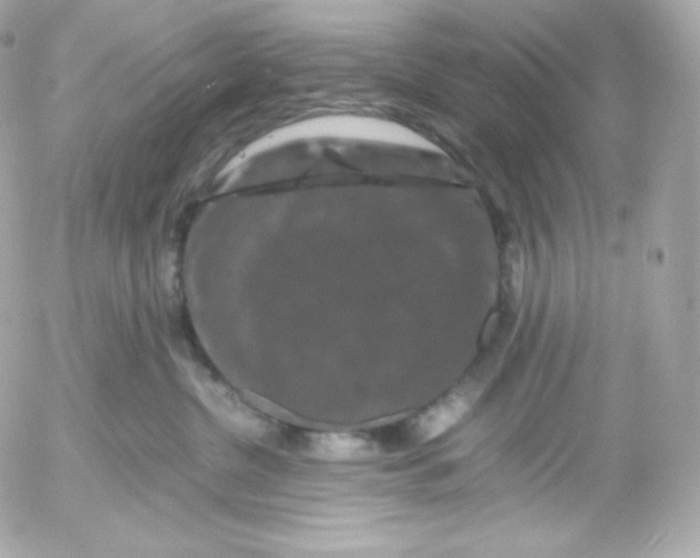 X0000052650380200507221848