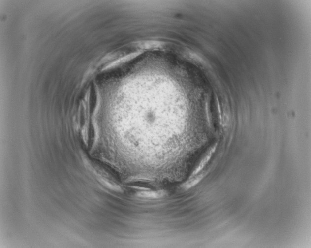 X0000052650381200507221848