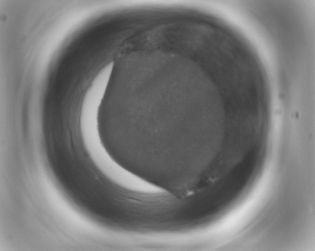 X0000052650382200507221848