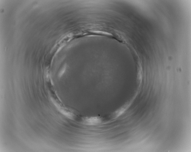 X0000052650383200507221848