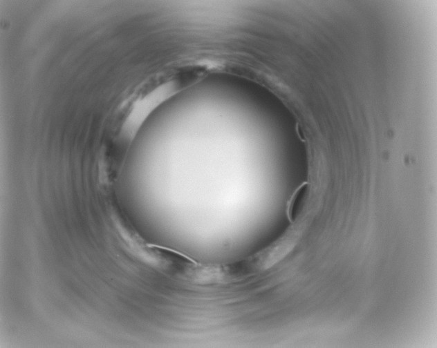 X0000052650384200507221848