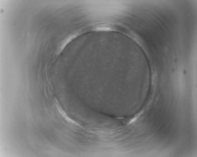 X0000052650385200507221847