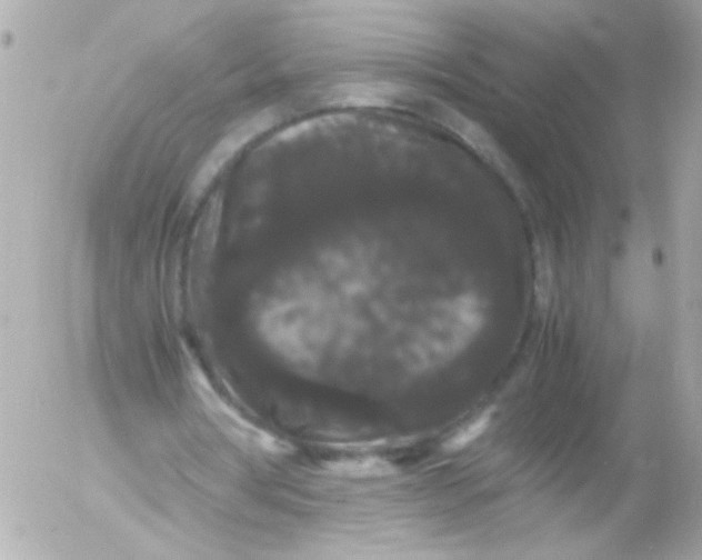 X0000052650386200507221847