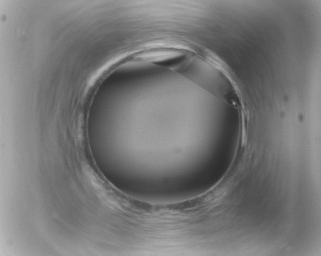 X0000052650387200507221847