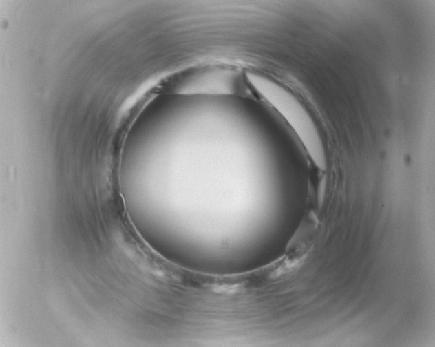 X0000052650388200507221847