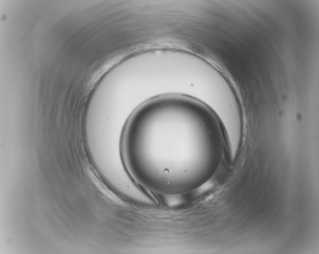 X0000052650389200507221847