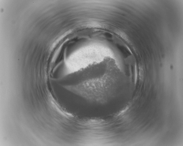 X0000052650390200507221847