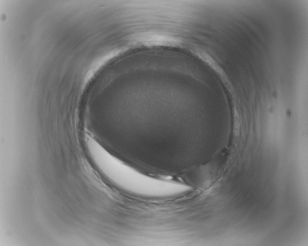 X0000052650391200507221847